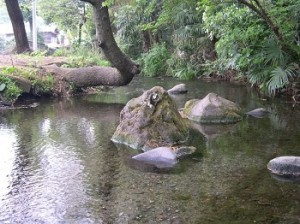 2008年6月に東京都で唯一｢平成の名水百選｣に選ばれた南沢湧水