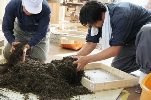 宇治茶の産地で始めた南山城紅茶プロジェクト