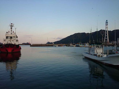僕が住む、三重県尾鷲市の漁港の風景