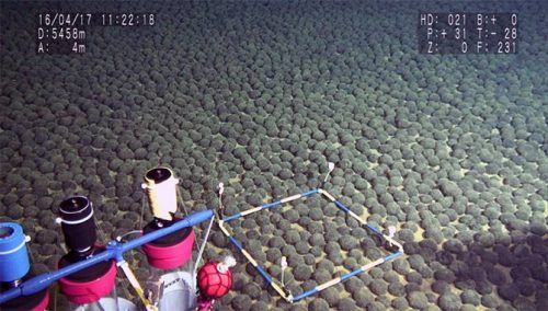南鳥島沖に大量のレアメタル…資源大国への期待も｜政治・選挙