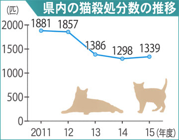 「地域猫活動」で殺処分から救え　群馬県が新年度事業化