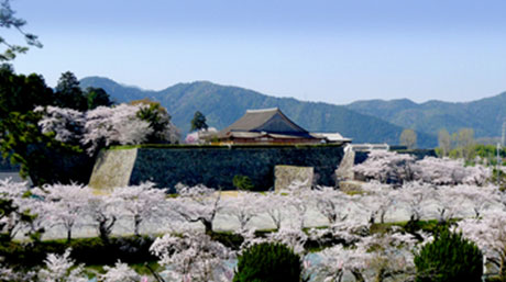 慶長14年（1609）、徳川家康の命により西国諸大名が動員されて築かれた篠山城